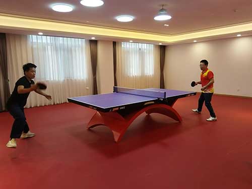 乒乓球.jpg 秋韻飛揚(yáng) 活力綻放 | 上海創(chuàng)力集團(tuán)秋季運(yùn)動(dòng)會(huì)取得圓滿成功(圖4)